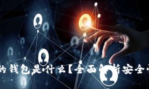 币圈最安全的钱包是什么?全面解析安全性与选择指南