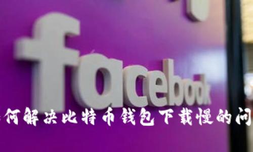 如何解决比特币钱包下载慢的问题