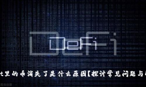 TPWallet里的币消失了是什么原因?探讨常见问题与解决方案
