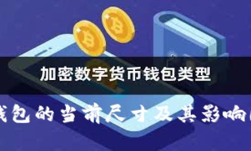 比特币钱包的当前尺寸及其影响因素分析