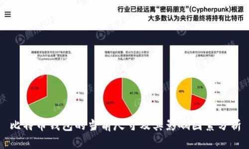 比特币钱包的当前尺寸及其影响因素分析