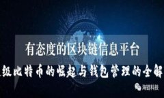 超级比特币的崛起与钱包管理的全解析