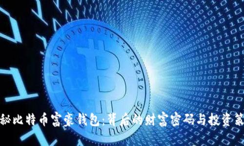 揭秘比特币富豪钱包:背后的财富密码与投资策略