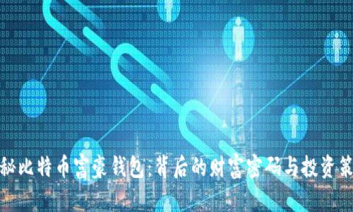 揭秘比特币富豪钱包:背后的财富密码与投资策略