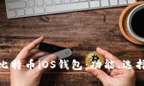 全面解析比特币iOS钱包:功能、选择与安全性