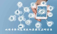 比特币软钱包消失的原因及应对方法