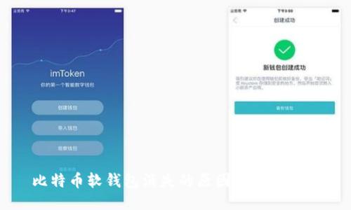 比特币软钱包消失的原因及应对方法