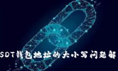 USDT钱包地址的大小写问题解析