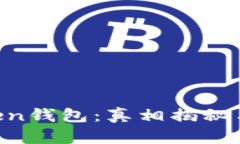 3.15 Token钱包：真相揭秘与使用指南