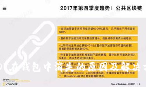 USDT在钱包中消失的原因及解决方案