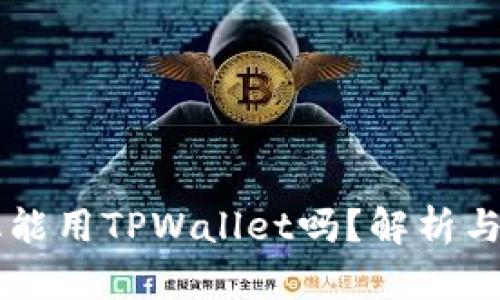苹果手机能用TPWallet吗?解析与使用指南