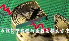 比特币钱包下载慢的原因及解决方案探讨