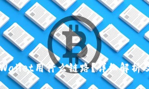 提币到TPWallet用什么链路？详细解析及使用指南