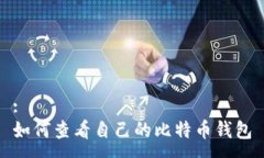 :如何查看自己的比特币钱包