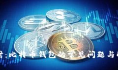 深入探讨：比特币钱包的常见问题与解决方案