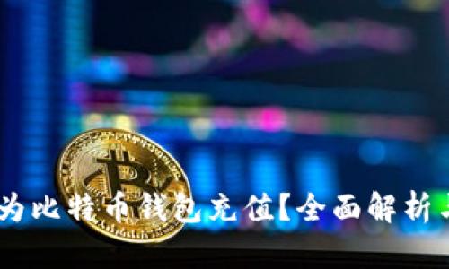 WMZ能否为比特币钱包充值?全面解析与实用指南