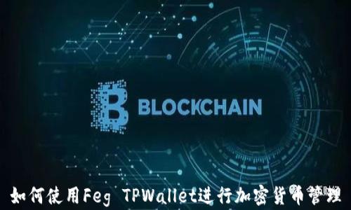 如何使用Feg TPWallet进行加密货币管理
