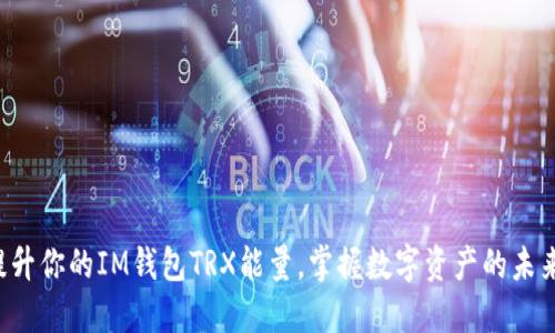 提升你的IM钱包TRX能量,掌握数字资产的未来!